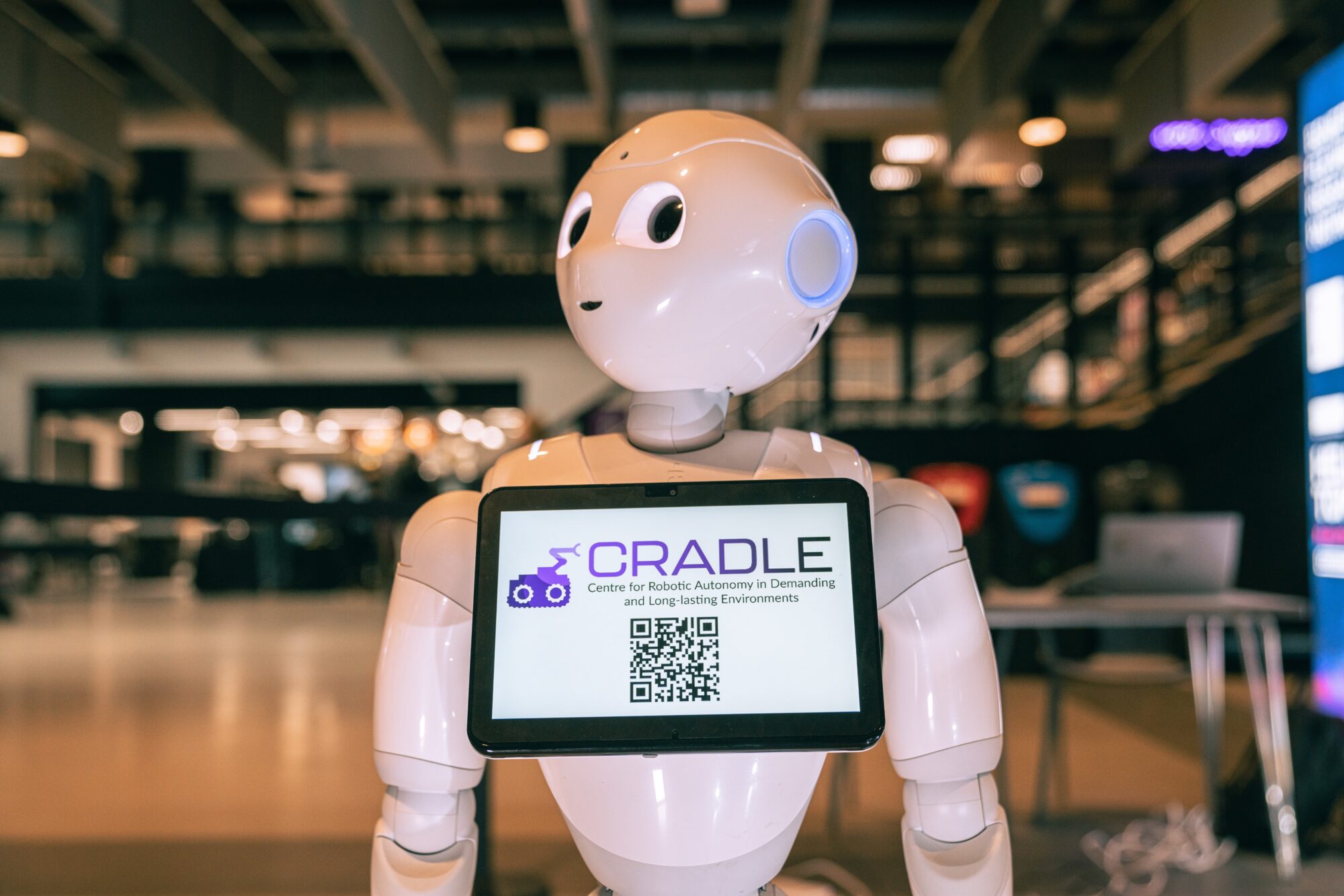 CRADLE Launch